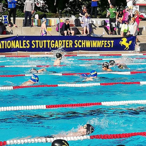 48. Internationales Stuttgarter Schwimmfest