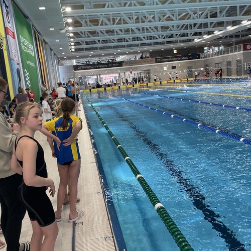 8. Internationales Winterschwimmfest