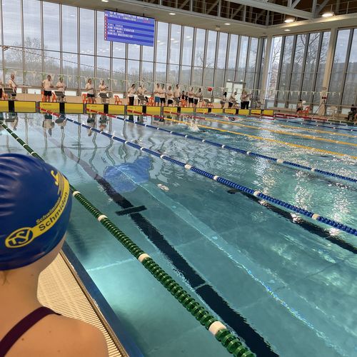 8. Internationales Winterschwimmfest