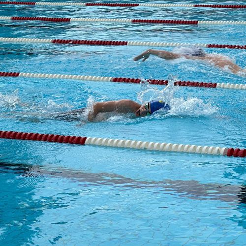 48. Internationales Stuttgarter Schwimmfest