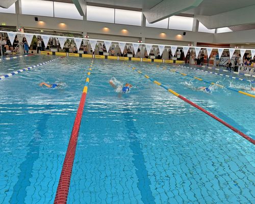JOBS: SCHWIMMTRAINER:IN (w/m/d) im Nachwuchsbereich