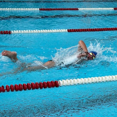 48. Internationales Stuttgarter Schwimmfest