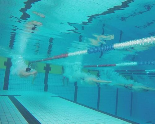 Einladung: Mitgliederversammlung Schwimmen